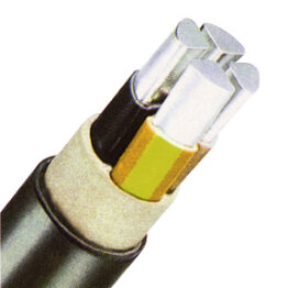 f_x100704oem.jpg
