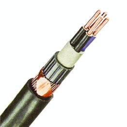 f_xc101006-.jpg