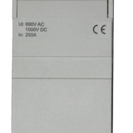 f_ikb01121-.jpg