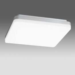f_lile0036-.jpg
