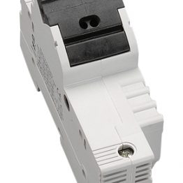 f_si312810-.jpg