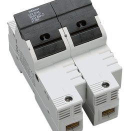 f_si312820-.jpg