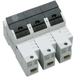 f_si312830-.jpg