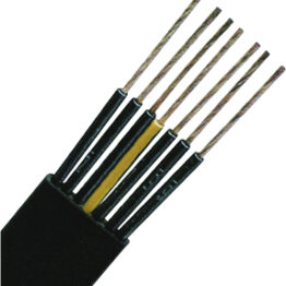 f_x050611-d.jpg