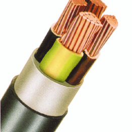 f_x100304oem.jpg