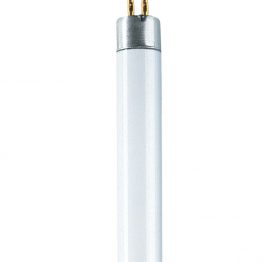 Leuchtstofflampen