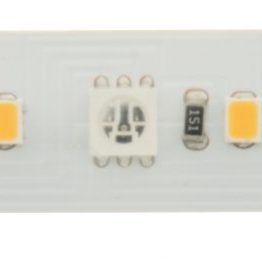 LED Flexstrips Indoor RGB und RGBW